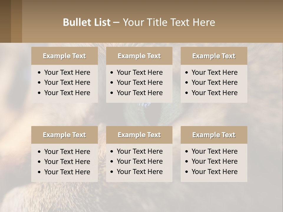 A Close Up Of A Cat's Green Eyes PowerPoint Template