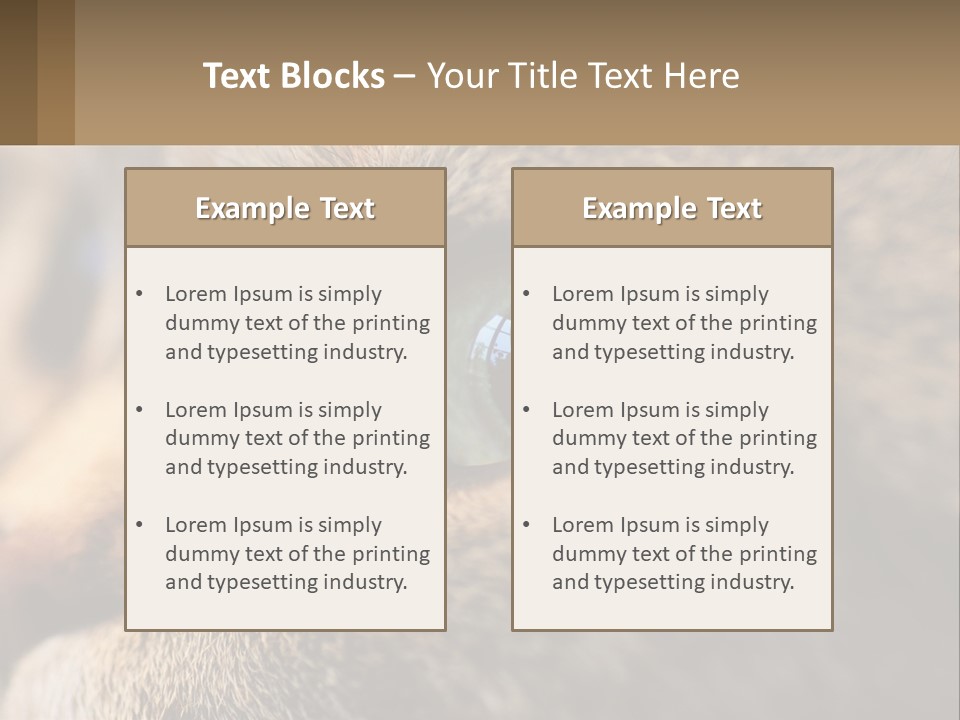 A Close Up Of A Cat's Green Eyes PowerPoint Template