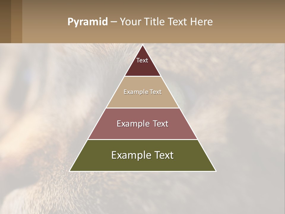 A Close Up Of A Cat's Green Eyes PowerPoint Template