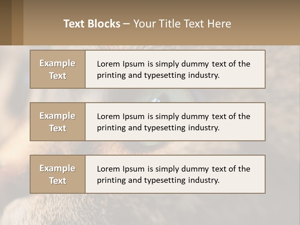 A Close Up Of A Cat's Green Eyes PowerPoint Template