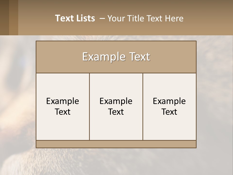 A Close Up Of A Cat's Green Eyes PowerPoint Template
