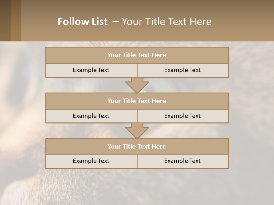 A Close Up Of A Cat's Green Eyes PowerPoint Template
