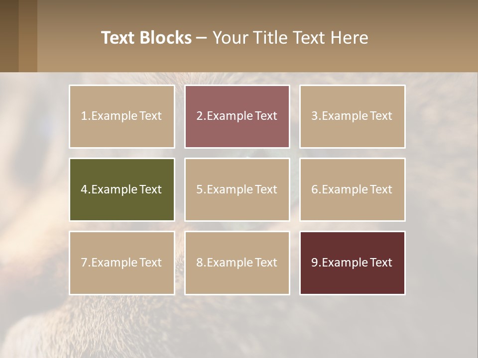 A Close Up Of A Cat's Green Eyes PowerPoint Template