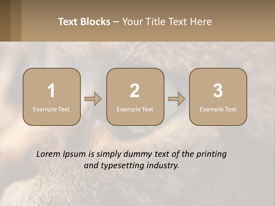 A Close Up Of A Cat's Green Eyes PowerPoint Template