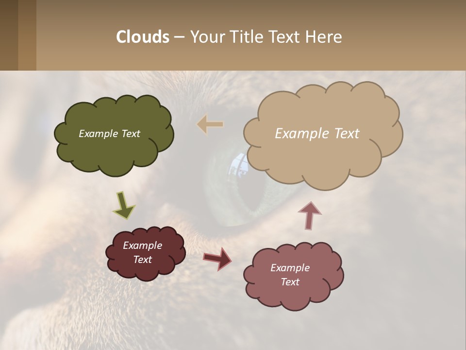 A Close Up Of A Cat's Green Eyes PowerPoint Template