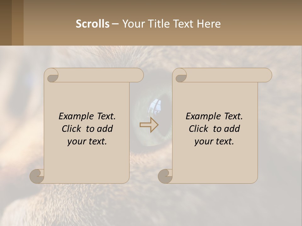 A Close Up Of A Cat's Green Eyes PowerPoint Template