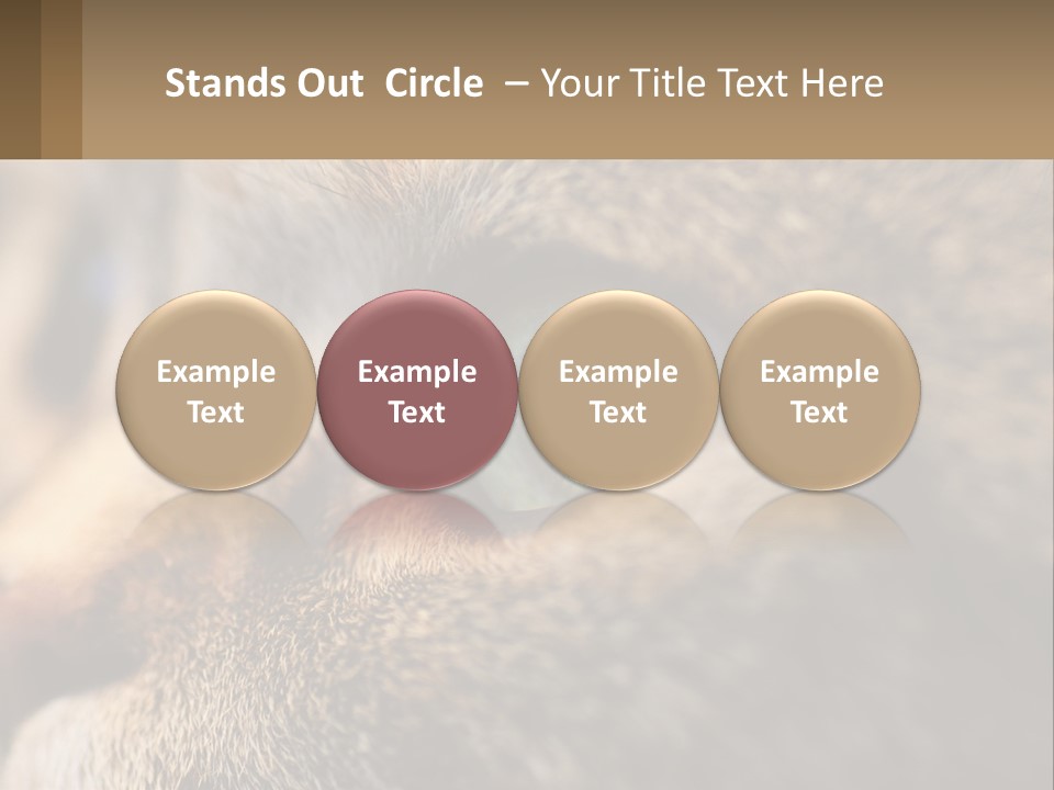 A Close Up Of A Cat's Green Eyes PowerPoint Template