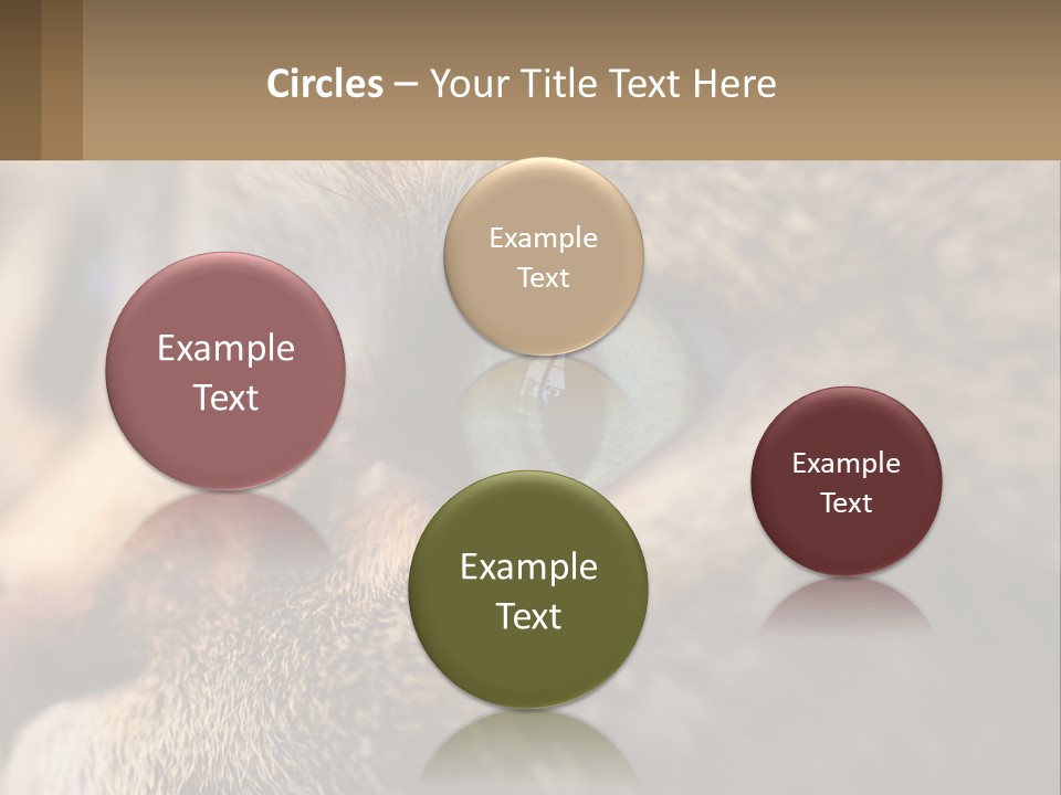 A Close Up Of A Cat's Green Eyes PowerPoint Template