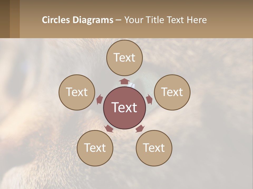 A Close Up Of A Cat's Green Eyes PowerPoint Template