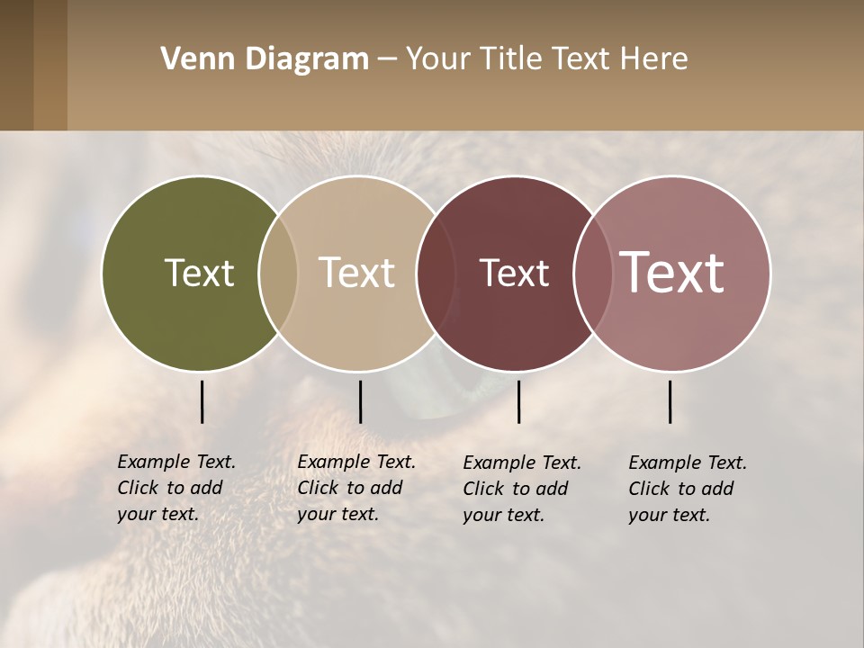 A Close Up Of A Cat's Green Eyes PowerPoint Template