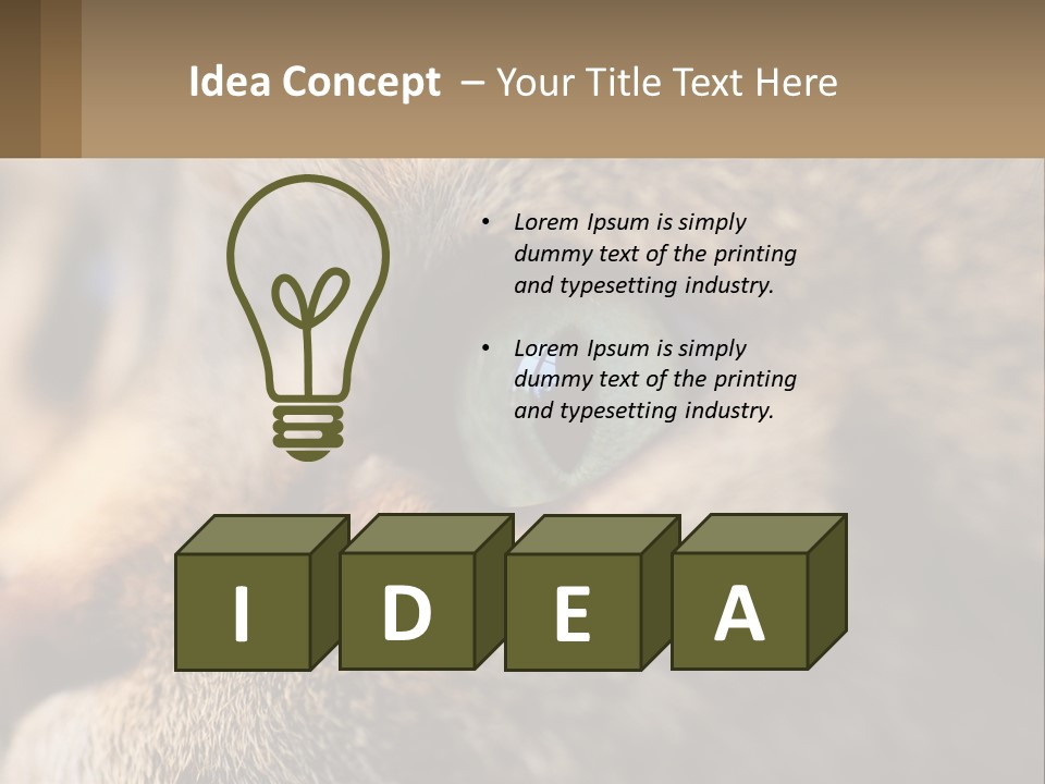 A Close Up Of A Cat's Green Eyes PowerPoint Template