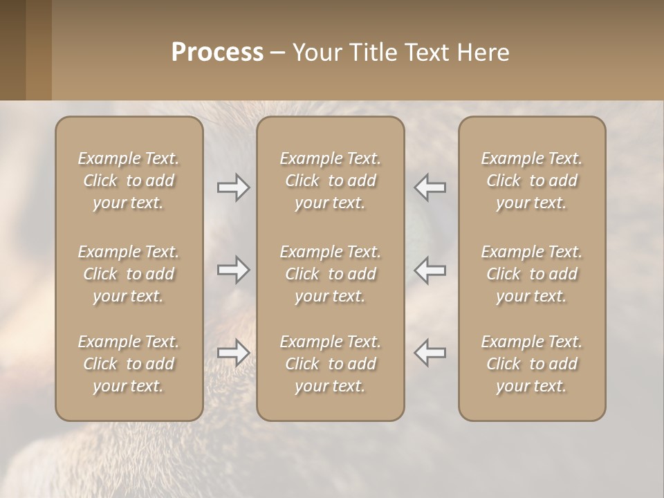 A Close Up Of A Cat's Green Eyes PowerPoint Template