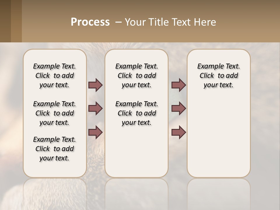 A Close Up Of A Cat's Green Eyes PowerPoint Template