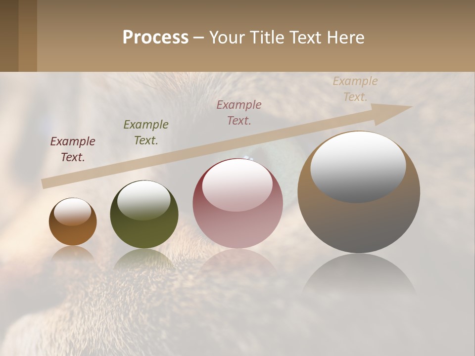 A Close Up Of A Cat's Green Eyes PowerPoint Template