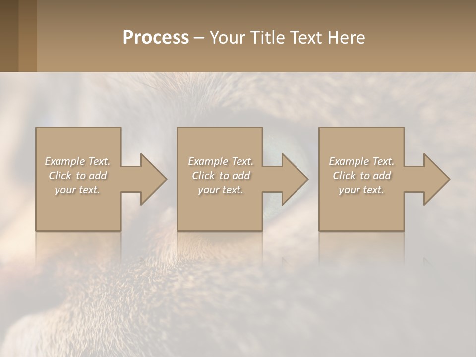 A Close Up Of A Cat's Green Eyes PowerPoint Template