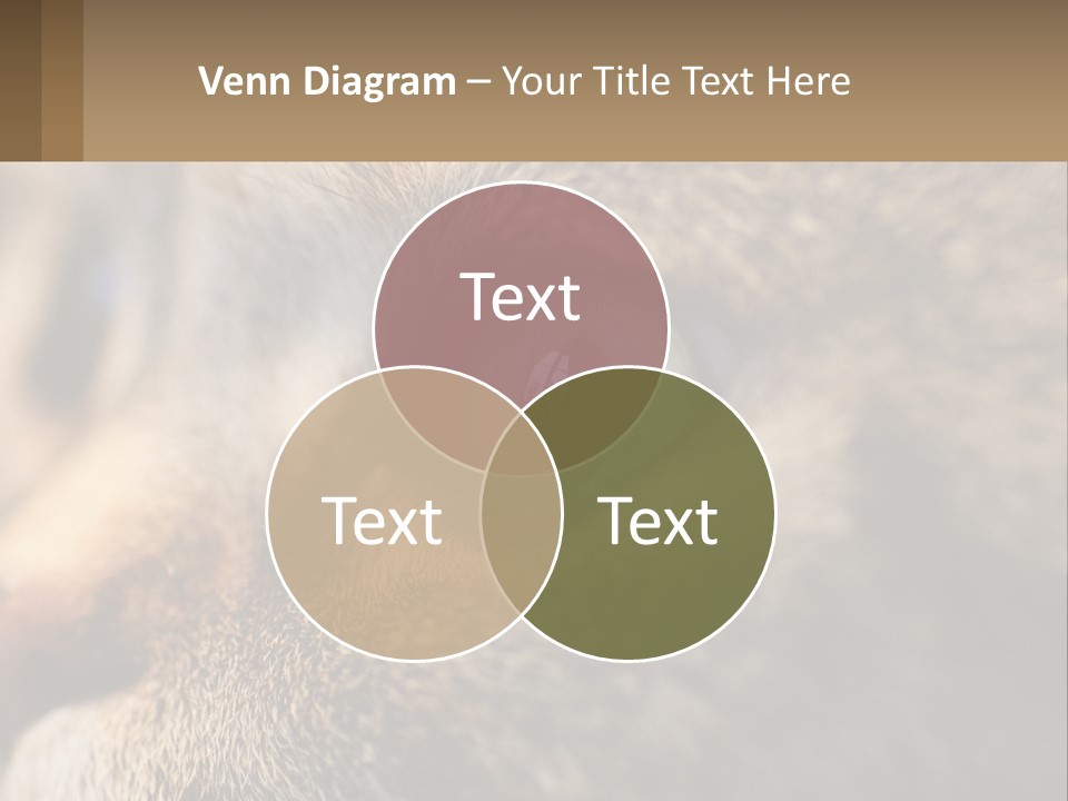 A Close Up Of A Cat's Green Eyes PowerPoint Template