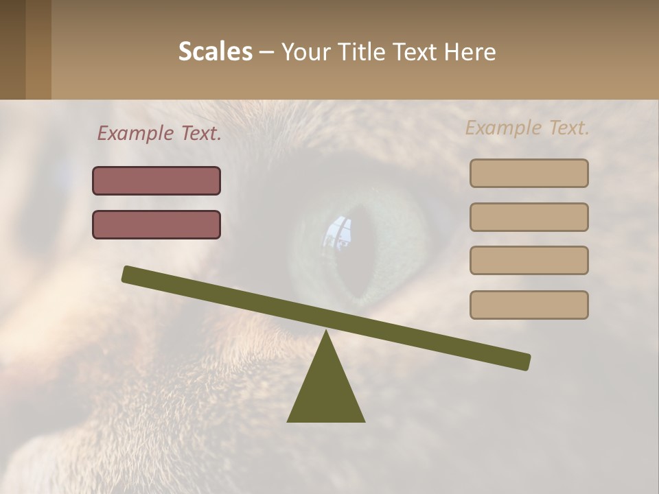 A Close Up Of A Cat's Green Eyes PowerPoint Template