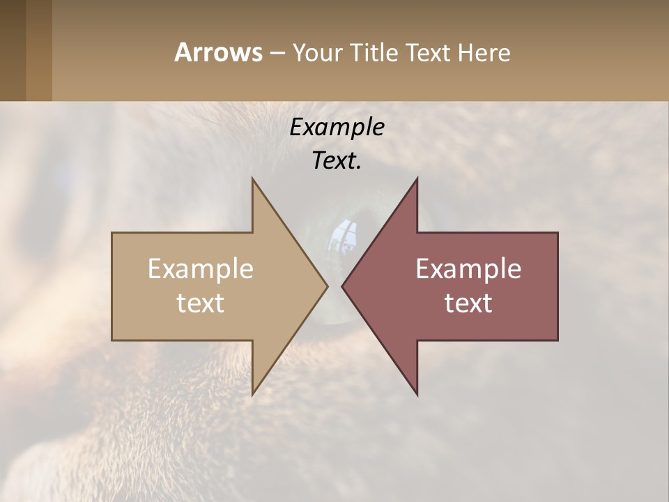 A Close Up Of A Cat's Green Eyes PowerPoint Template