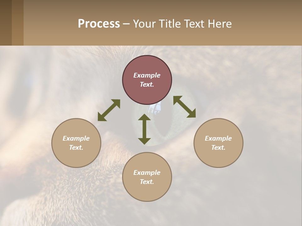 A Close Up Of A Cat's Green Eyes PowerPoint Template
