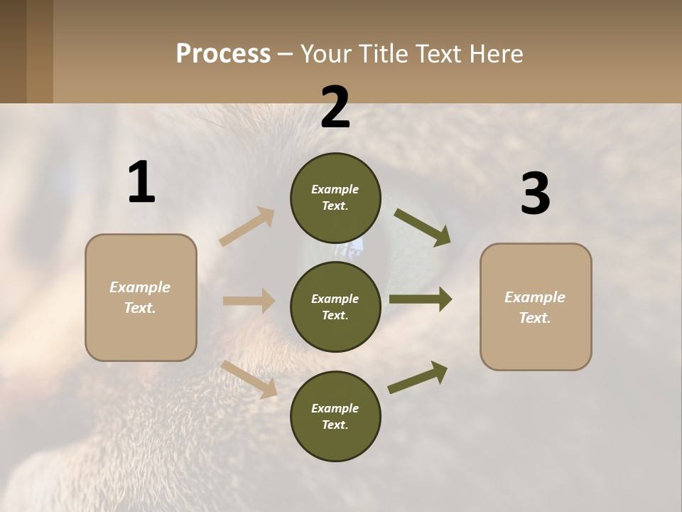 A Close Up Of A Cat's Green Eyes PowerPoint Template