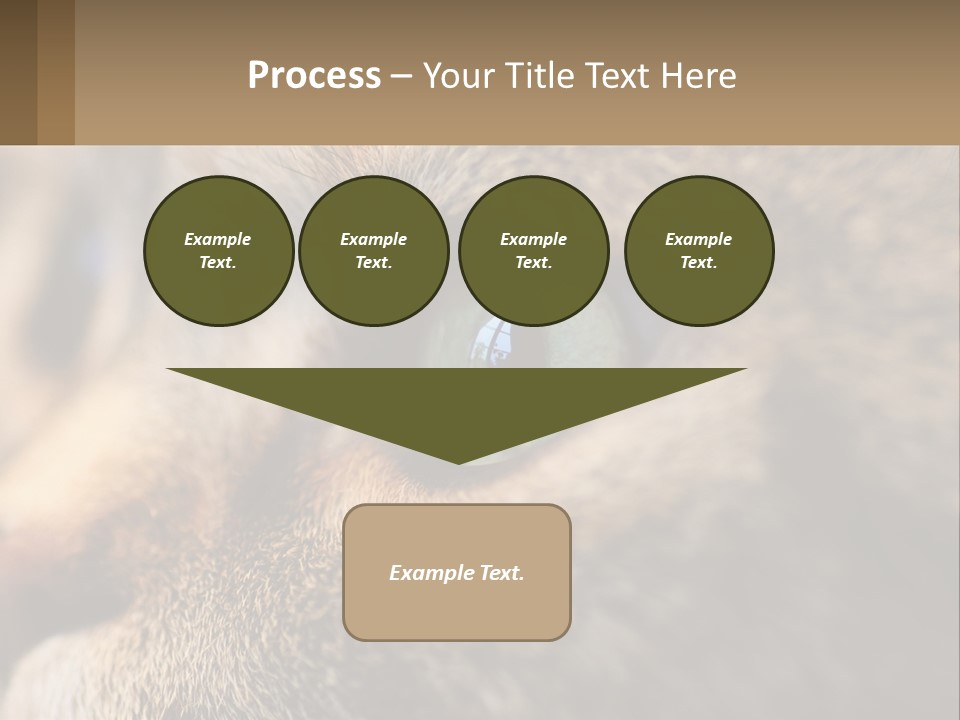 A Close Up Of A Cat's Green Eyes PowerPoint Template