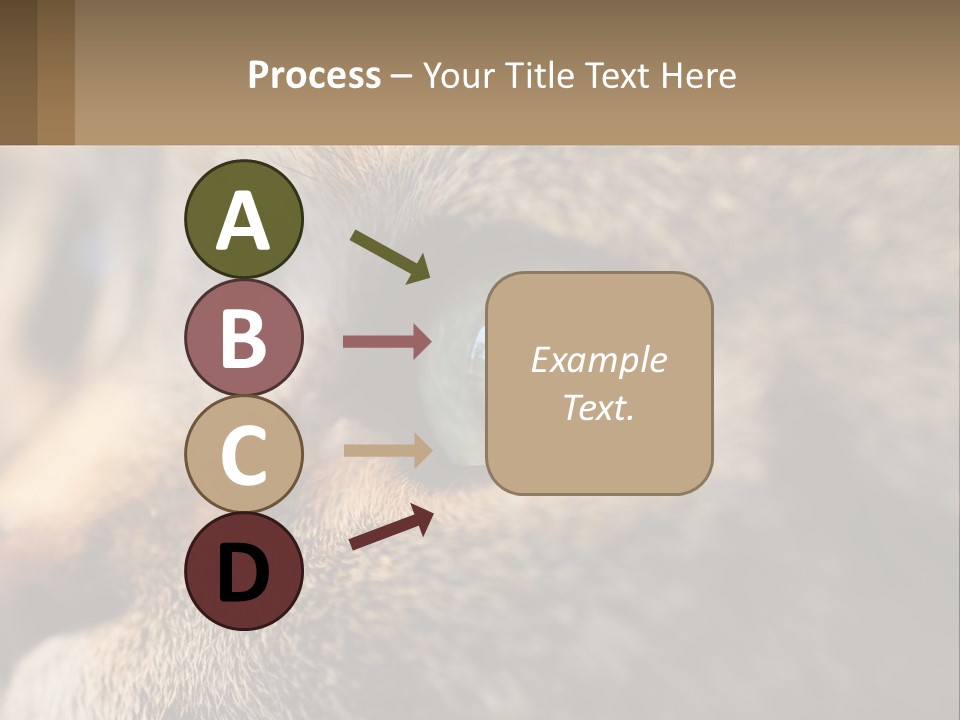 A Close Up Of A Cat's Green Eyes PowerPoint Template