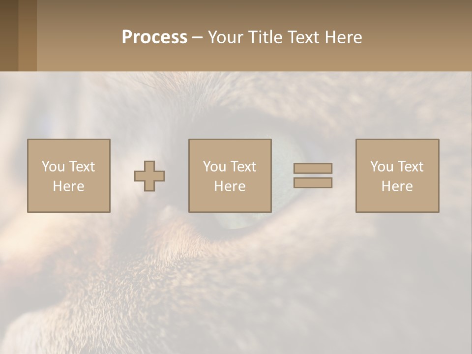 A Close Up Of A Cat's Green Eyes PowerPoint Template