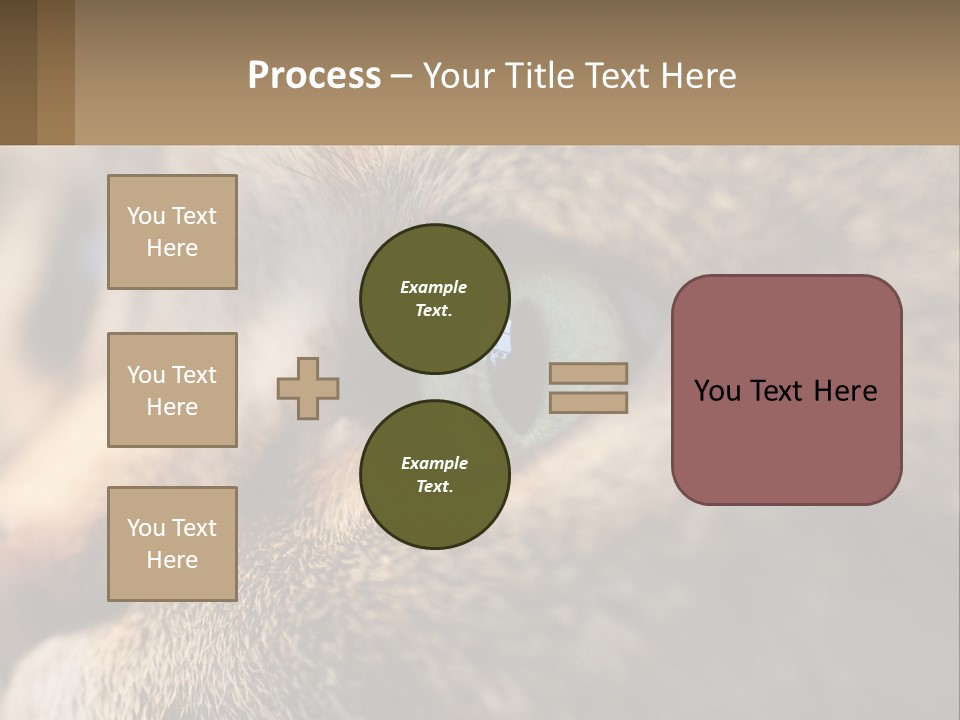 A Close Up Of A Cat's Green Eyes PowerPoint Template