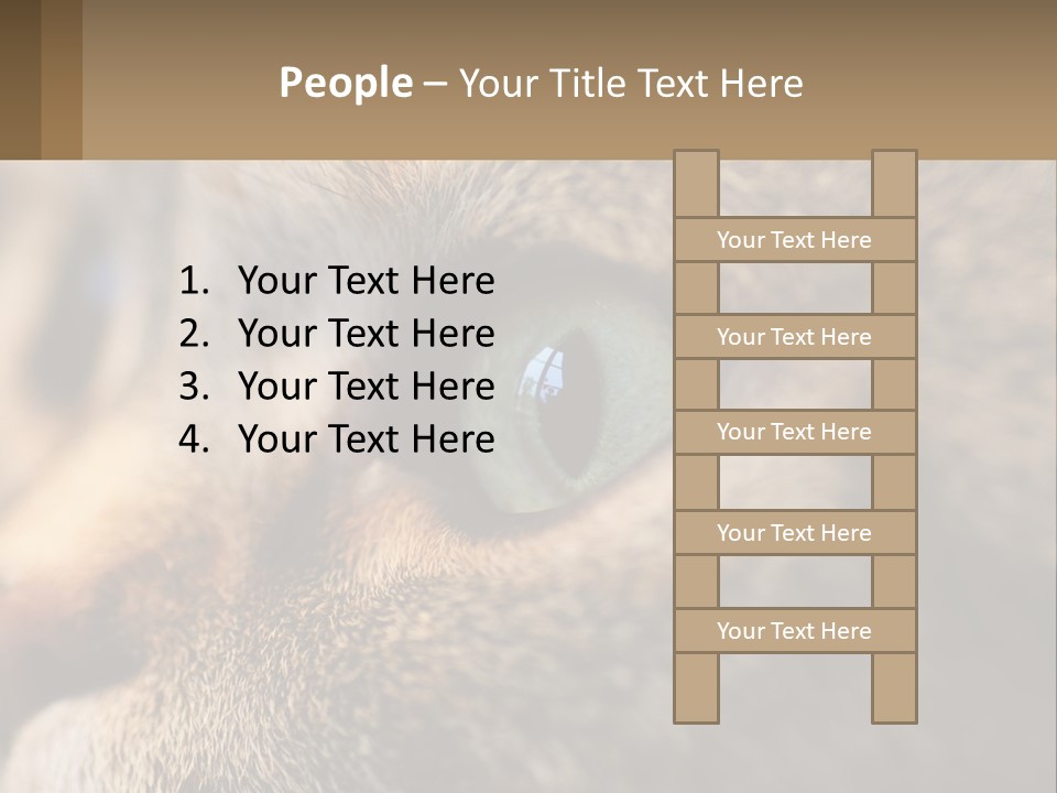 A Close Up Of A Cat's Green Eyes PowerPoint Template
