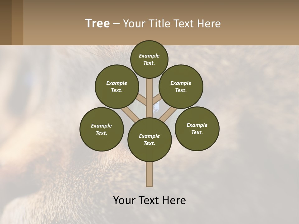A Close Up Of A Cat's Green Eyes PowerPoint Template