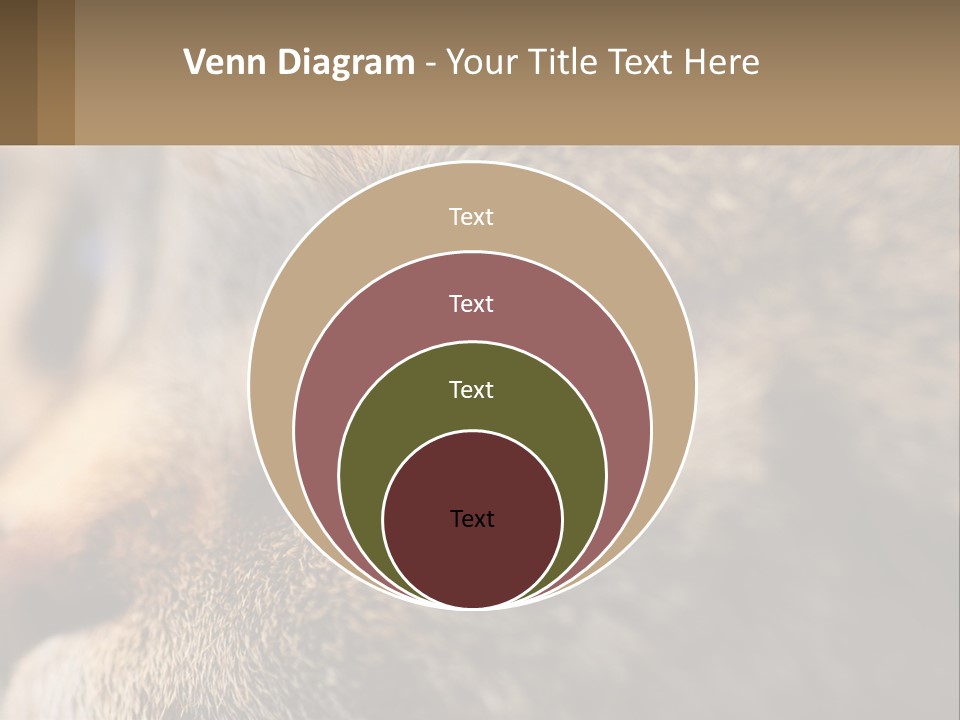 A Close Up Of A Cat's Green Eyes PowerPoint Template