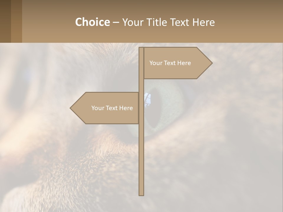 A Close Up Of A Cat's Green Eyes PowerPoint Template