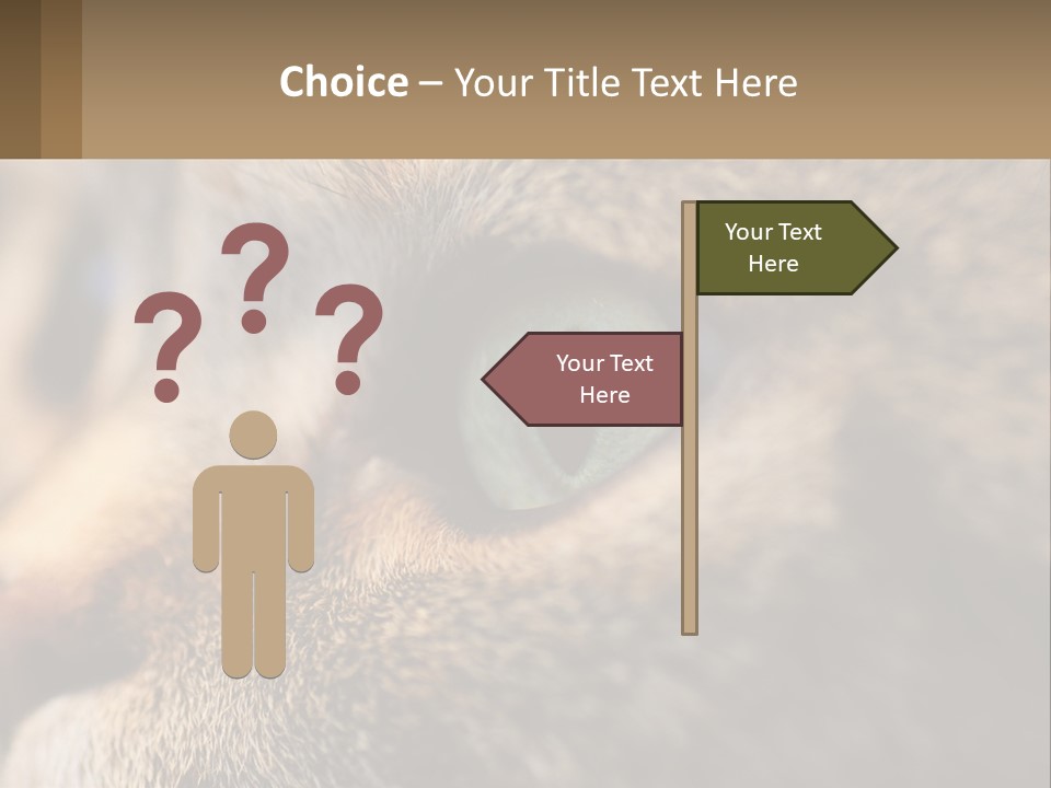A Close Up Of A Cat's Green Eyes PowerPoint Template