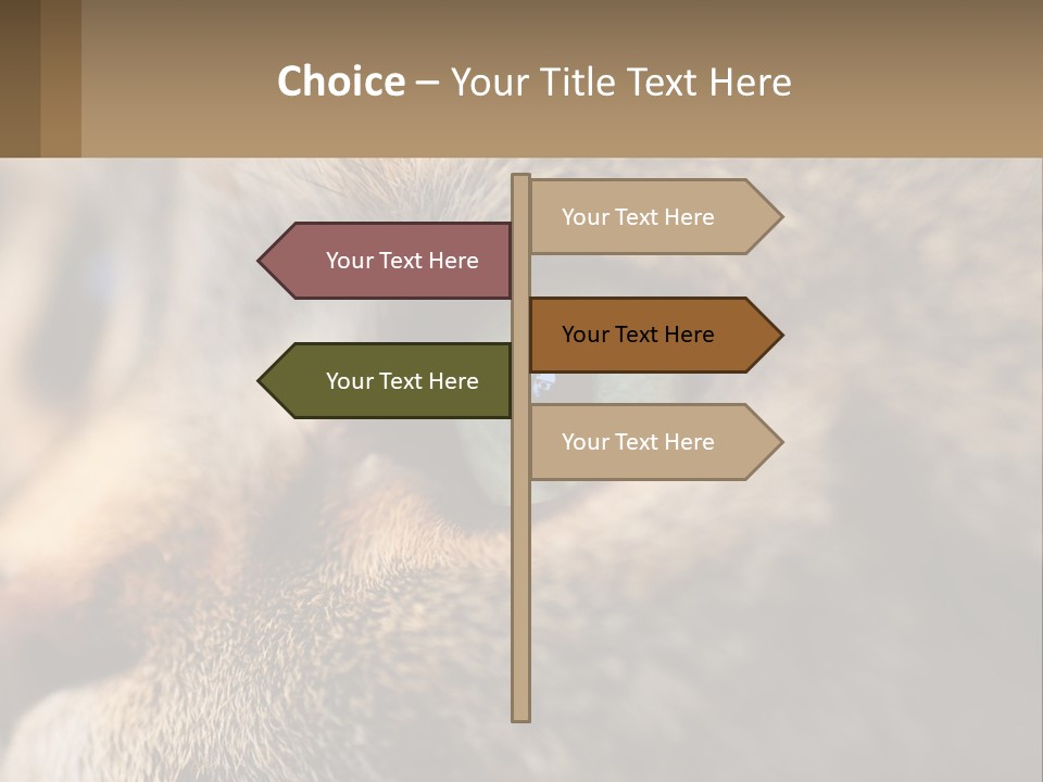 A Close Up Of A Cat's Green Eyes PowerPoint Template