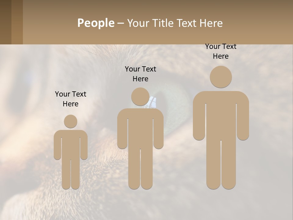 A Close Up Of A Cat's Green Eyes PowerPoint Template