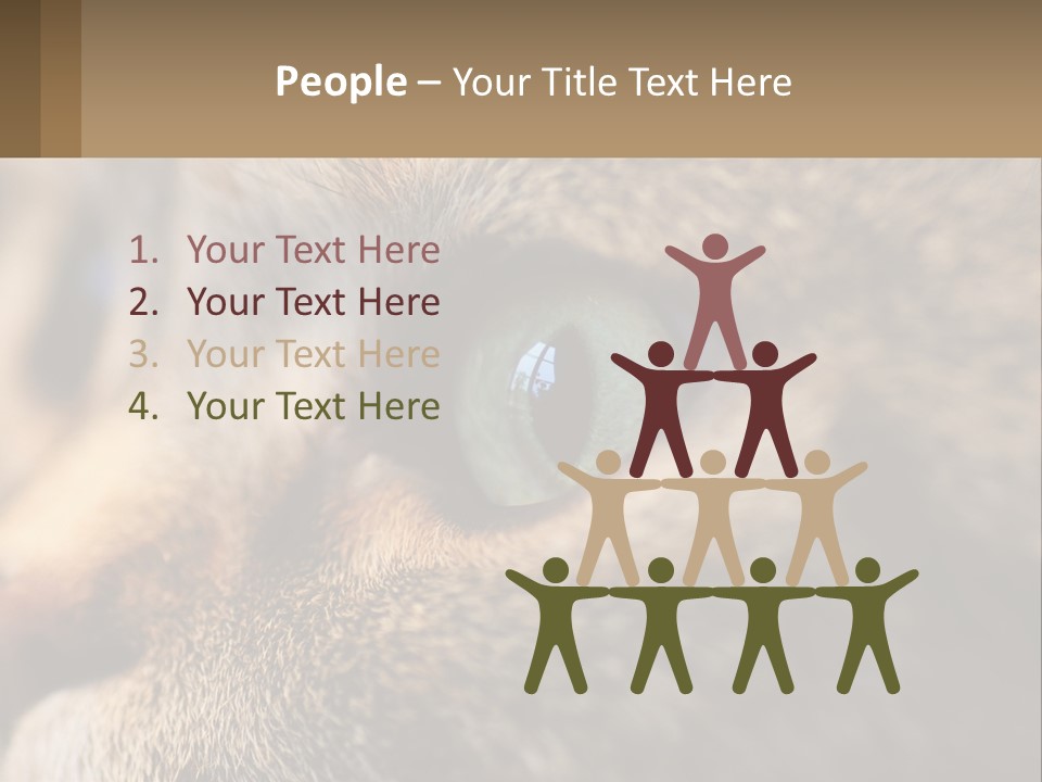 A Close Up Of A Cat's Green Eyes PowerPoint Template