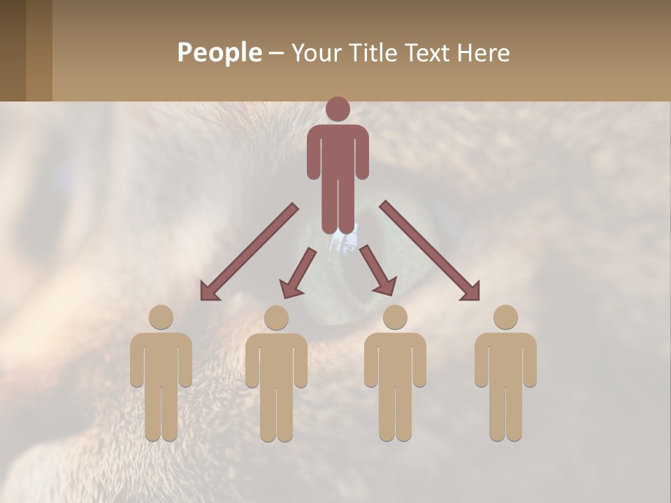 A Close Up Of A Cat's Green Eyes PowerPoint Template