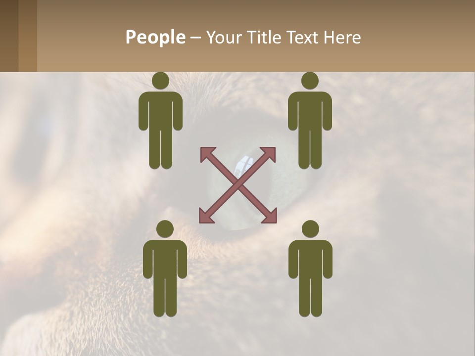 A Close Up Of A Cat's Green Eyes PowerPoint Template