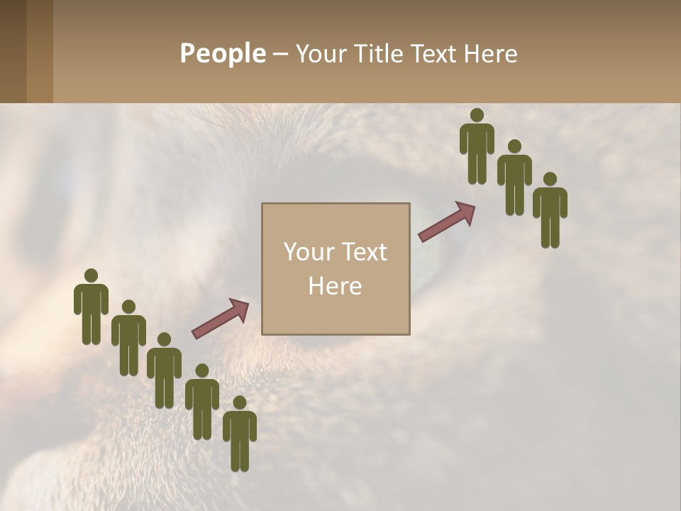 A Close Up Of A Cat's Green Eyes PowerPoint Template