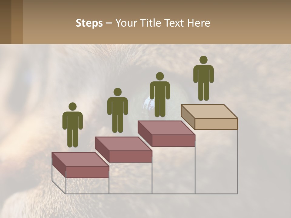 A Close Up Of A Cat's Green Eyes PowerPoint Template