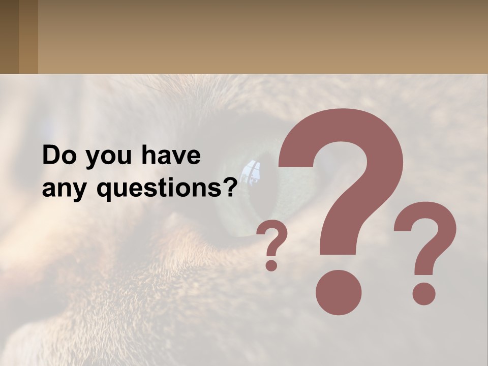 A Close Up Of A Cat's Green Eyes PowerPoint Template