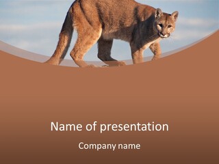 A Mountain Lion Walking Across A Desert Landscape PowerPoint Template