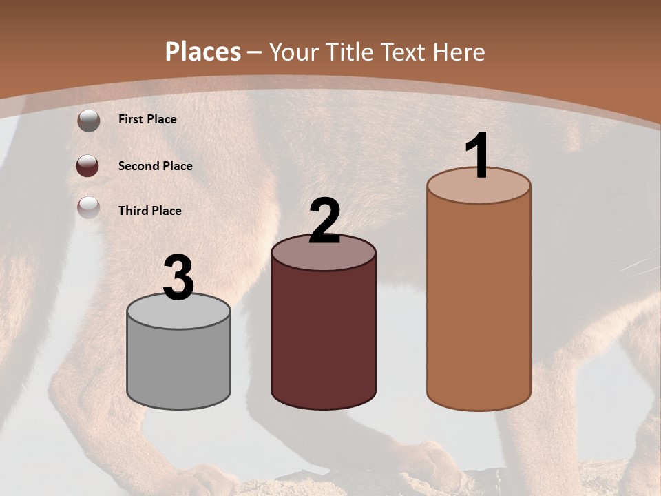A Mountain Lion Walking Across A Desert Landscape PowerPoint Template