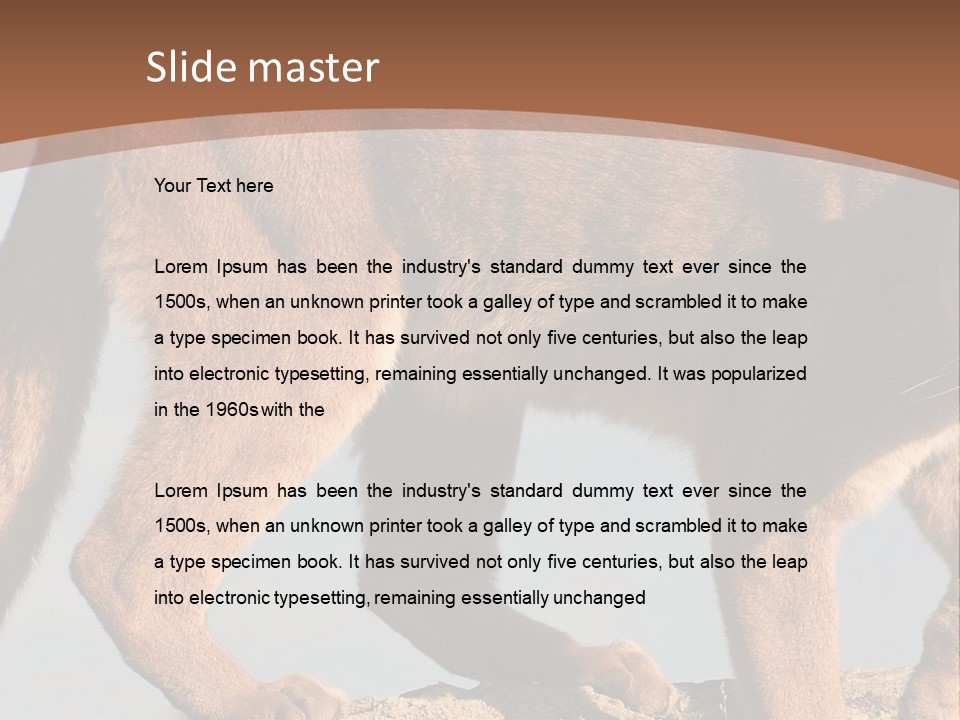 A Mountain Lion Walking Across A Desert Landscape PowerPoint Template