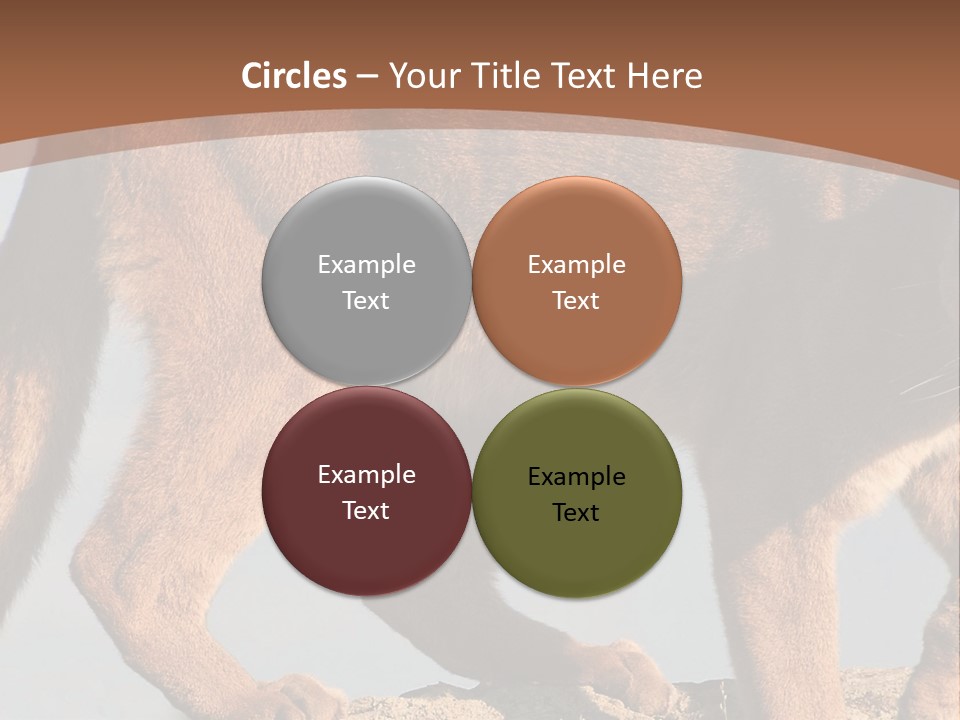 A Mountain Lion Walking Across A Desert Landscape PowerPoint Template