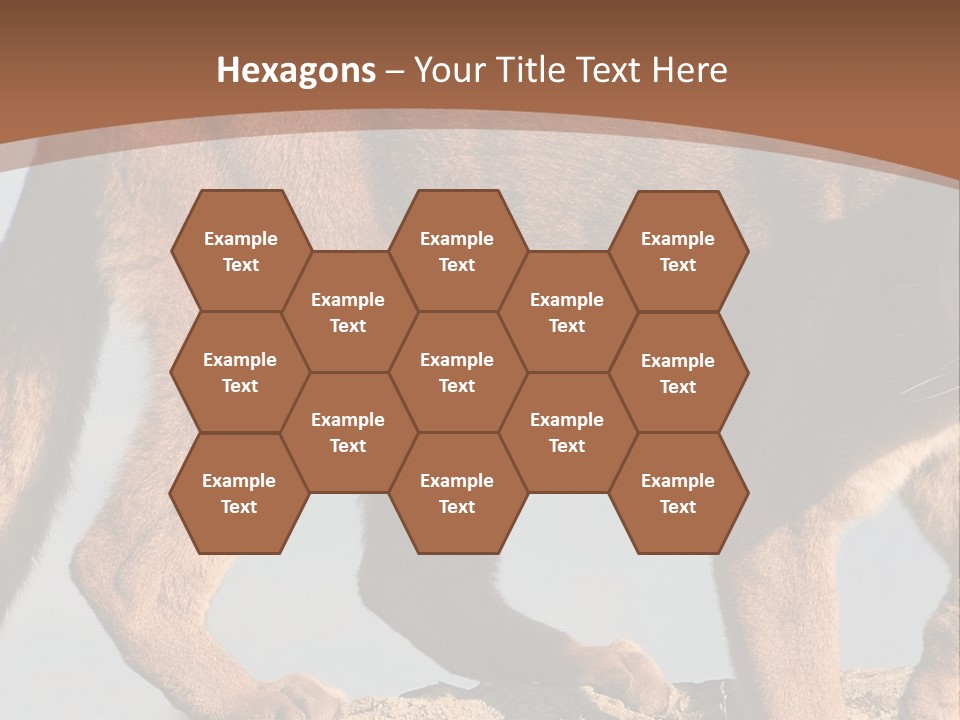 A Mountain Lion Walking Across A Desert Landscape PowerPoint Template