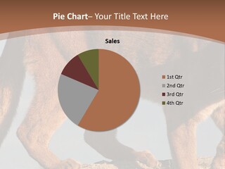 A Mountain Lion Walking Across A Desert Landscape PowerPoint Template