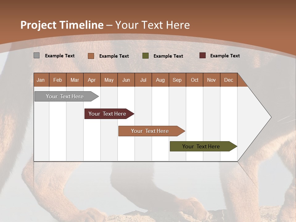 A Mountain Lion Walking Across A Desert Landscape PowerPoint Template