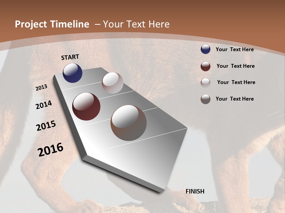 A Mountain Lion Walking Across A Desert Landscape PowerPoint Template