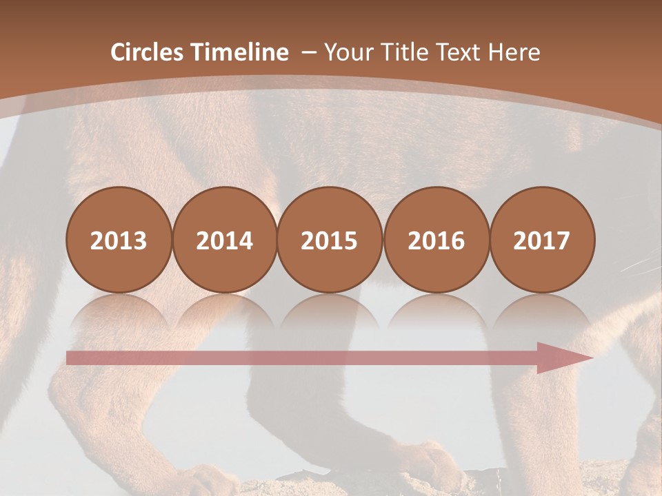 A Mountain Lion Walking Across A Desert Landscape PowerPoint Template
